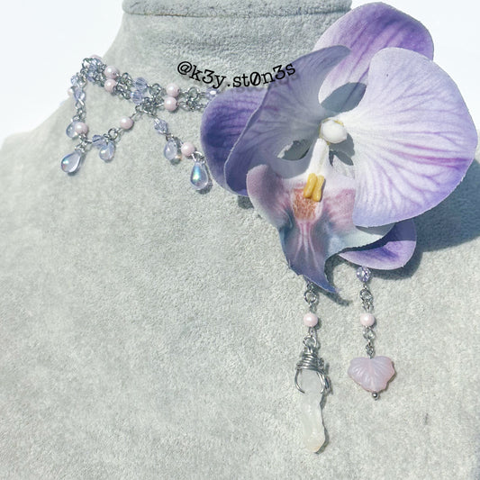 Orchid Bloom